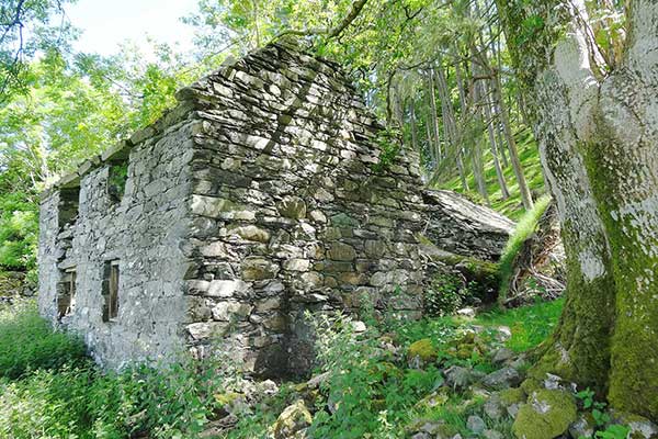 The Ruins of Tan y Fedw